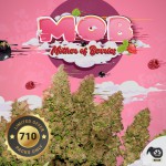 MOB™ - 710 Limited Edition Pack