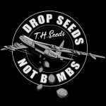 Men's Drop Seeds Not Bombs T-shirt
