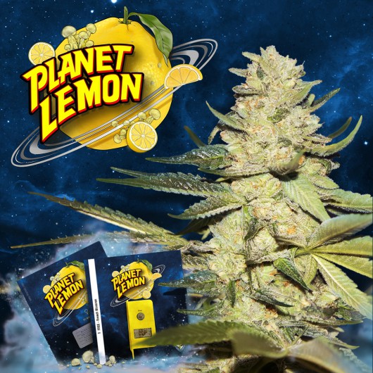 Planet Lemon