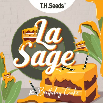 La S.A.G.E.™ X BC X SBC - Regular Limited Edition Seeds
