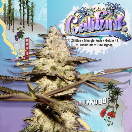 CaliFunk by T.H.Seeds™