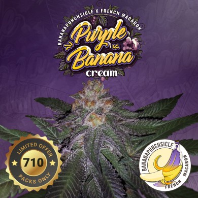 Purple Banana Cream 710 Special Pack