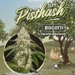 Pisthash by T.H.Seeds™ Feminized