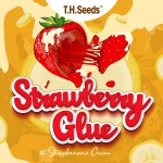 	 Strawberry Glue X SBC  - Regular Limited Edition Seeds