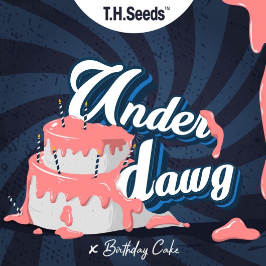 Underdawg X BC X SBC - Regular Limited Edition Seeds