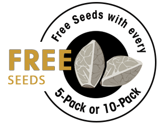 Free cannabis seeds